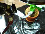 DSC03627.jpg