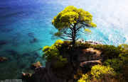 skopelos-island.jpg