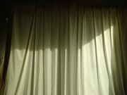 DSC04212.jpg