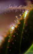 user194_pic102573_1245973959.jpg
