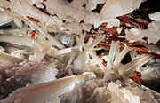 Cave-Of-Giant-Crystals-Found-Mexican-Desert-.jpg