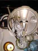 DSC05881.jpg