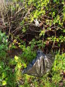 DSC06006.jpg