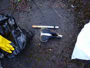 DSC06106.jpg