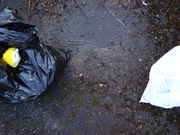 DSC06107.jpg