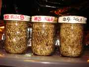 DSC06218.jpg