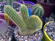 10032010392.jpg