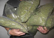 Big_bags_of_pot.jpg