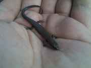 13052010559.jpg