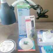 0403001727_Things_you_can_find_at_WM_600x600.jpg