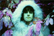 Cool_Donovan_pic.png