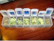 Weed_in_days_of_the_week_containers.jpg