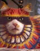Psychedelic_cat.jpg
