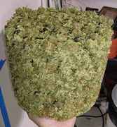 Bucket_shaped_weed_pile.jpg