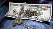 Weed_in_100_dollar_bill_money.jpg