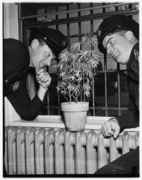 Cops_look_at_pot_plant.jpg