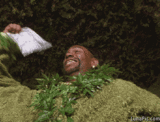 Sir_Smoke_Alot_drops_joints_on_himself.gif