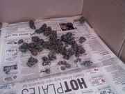 downsized_0621002040.jpg