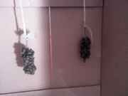 downsized_0621002040a.jpg