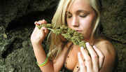 Cute_girl_smells_weed.jpg