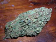 MauiWaui02.jpg