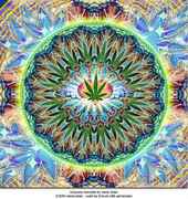 trip.jpg