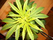 DSCN0258.jpg