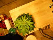 DSCN0259.jpg