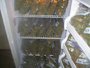 Fridge_full_of_weed.jpg