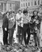 Byrds_with_birds_1965.jpg