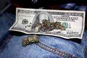 Weed_in_100_dollar_bill.jpg