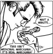 Real_marijuana.jpg