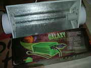 light_004.jpg