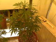 IMG00864.jpg