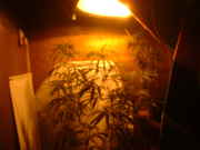 DSCF0068.jpg