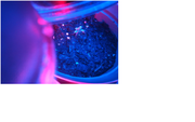 plant1.png