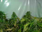 coolll_002.jpg