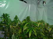 coolll_005.jpg