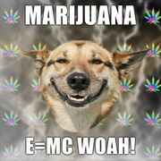 Marijuana-emc-WOAH.jpg