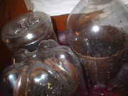 DSCF0036.jpg
