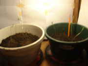 DSCF0003.jpg