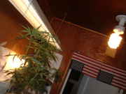 DSCF0021.jpg