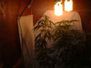 DSCF0032.jpg