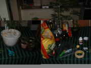 DSCF0028.jpg