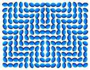 movingroofopticalillusihv9.jpg