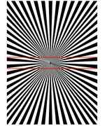 parallellineillusioncu8.jpg