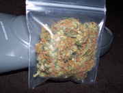100_0031.jpg