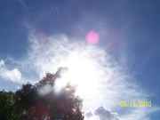 100_1442.jpg