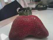 strawberrry.jpg