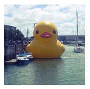 giant_ass_duck_by_harlequin_666-d38ls6t.jpg
